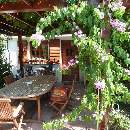 Appartement Eva Sukošan